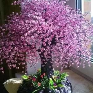 Meet your Posher, Elia